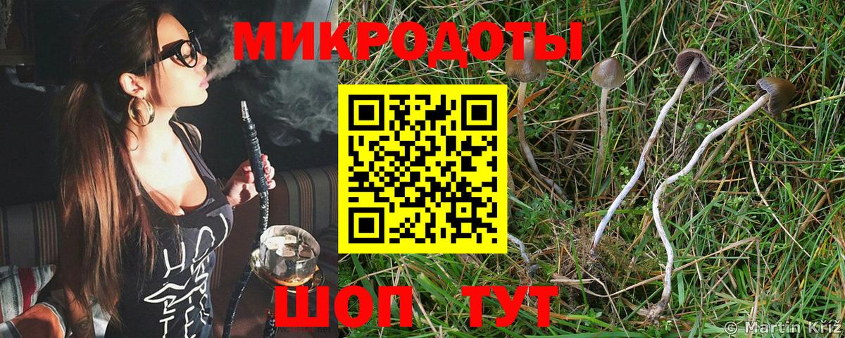 Кировск  Галлюциногенные грибы GOLDEN TEACHER  Вход с VPN 